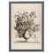 12" x 16" Vintage Vase in Sepia Framed Wall Art, Contemporary Floral Home Décor, Glass Facing and Hanging Hardware Included